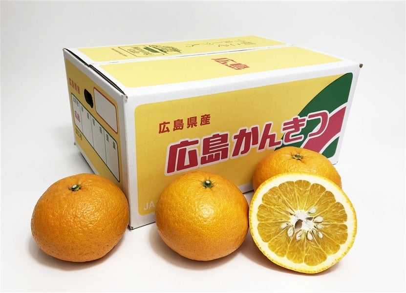 紅甘夏（広島県産）: 広島とれたて元気市|【JAタウン】産地直送 通販