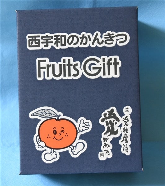 H66】☆令和7年産☆「みかんはちみつ」（600g×2本）JAにしうわ