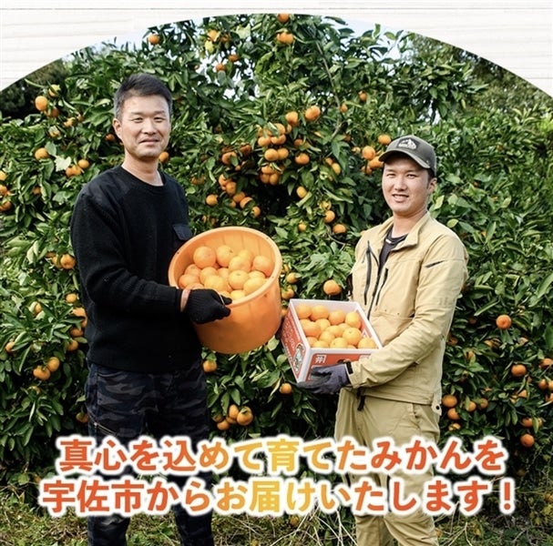 農家直送！井上農園 蔵出しみかん 5kg（大分県宇佐市産 青島温州
