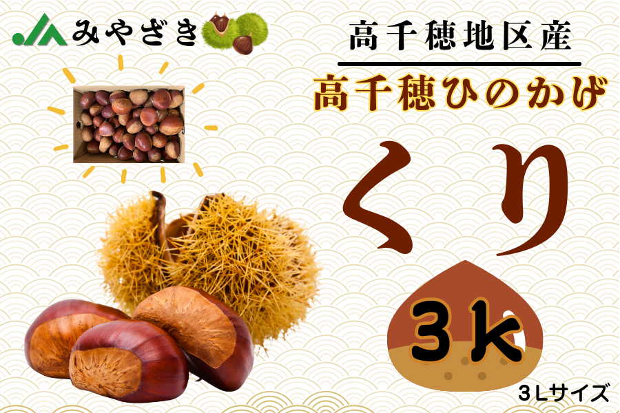 高千穂ひのかげ栗 3L（3kg）: JAみやざき高千穂直販|【JAタウン