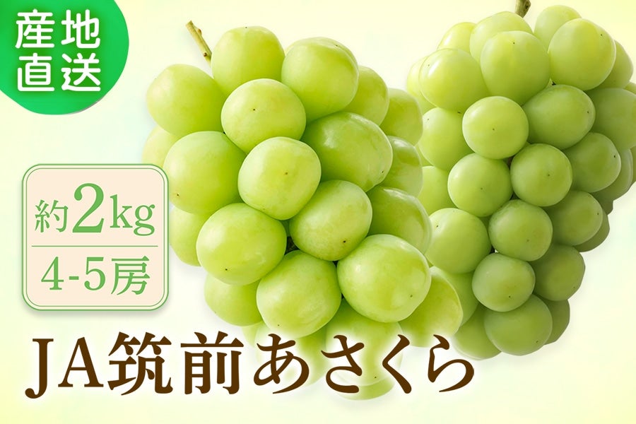2026年5月中旬予約開始予定】◎JA筑前あさくら シャインマスカット約2