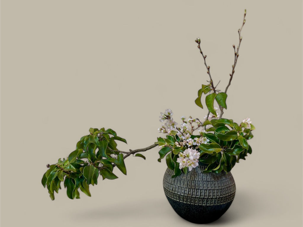 墨田区の伝統文化・日本文化ランキングTOP8 - じゃらんnet