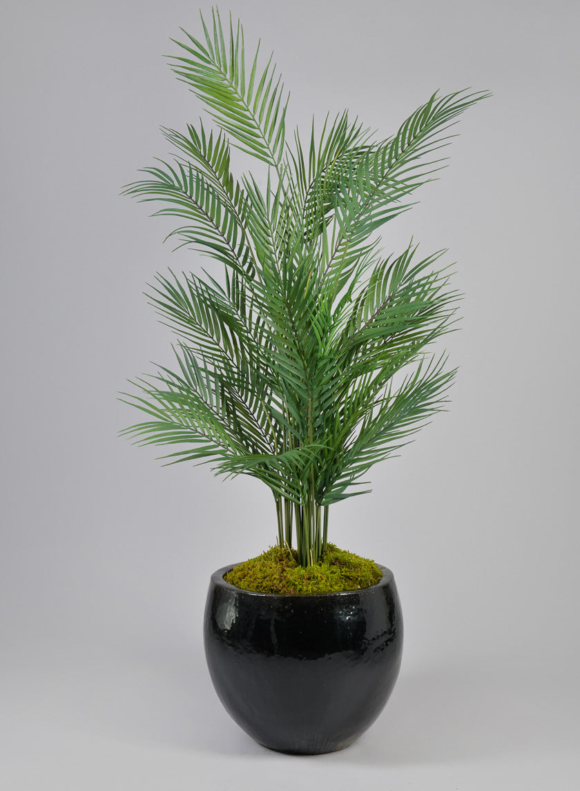 Hawaii Palm Tree Fake Potted Plant Window Retail Store Display