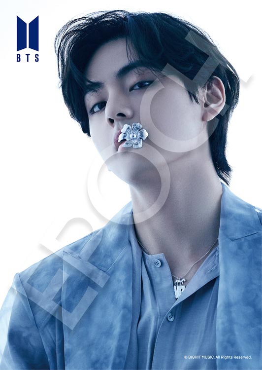 EPO-41-313 BTS（防弾少年団） Proof V 108ピース エポック社 の商品