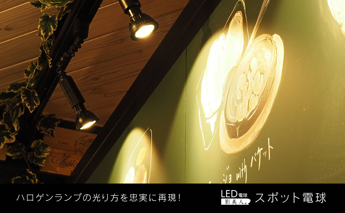 スポットLED/ハロゲン型「影美人。」シリーズ|Only One
