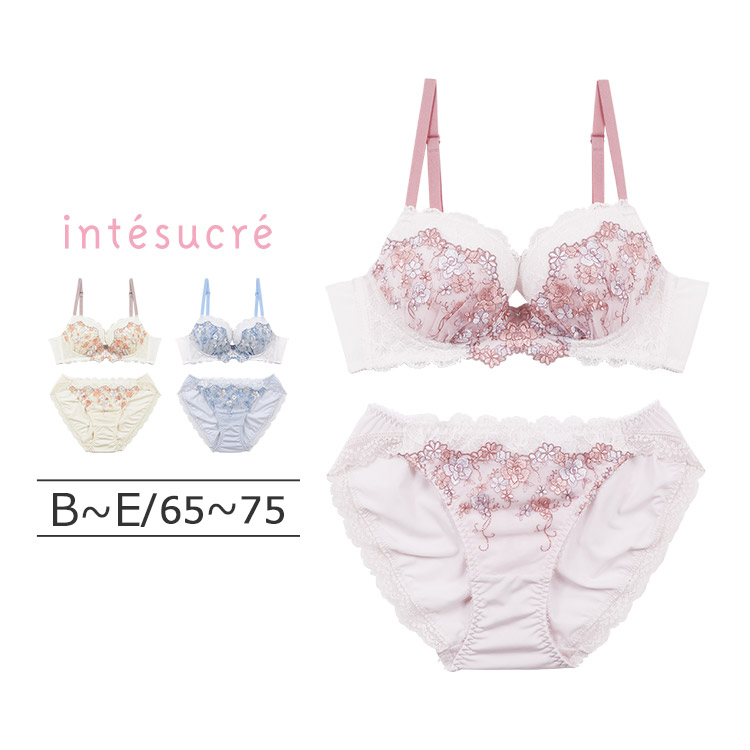 IBT370｜アンテシュクレ intesucre 毎日フィットブラ ブラセット