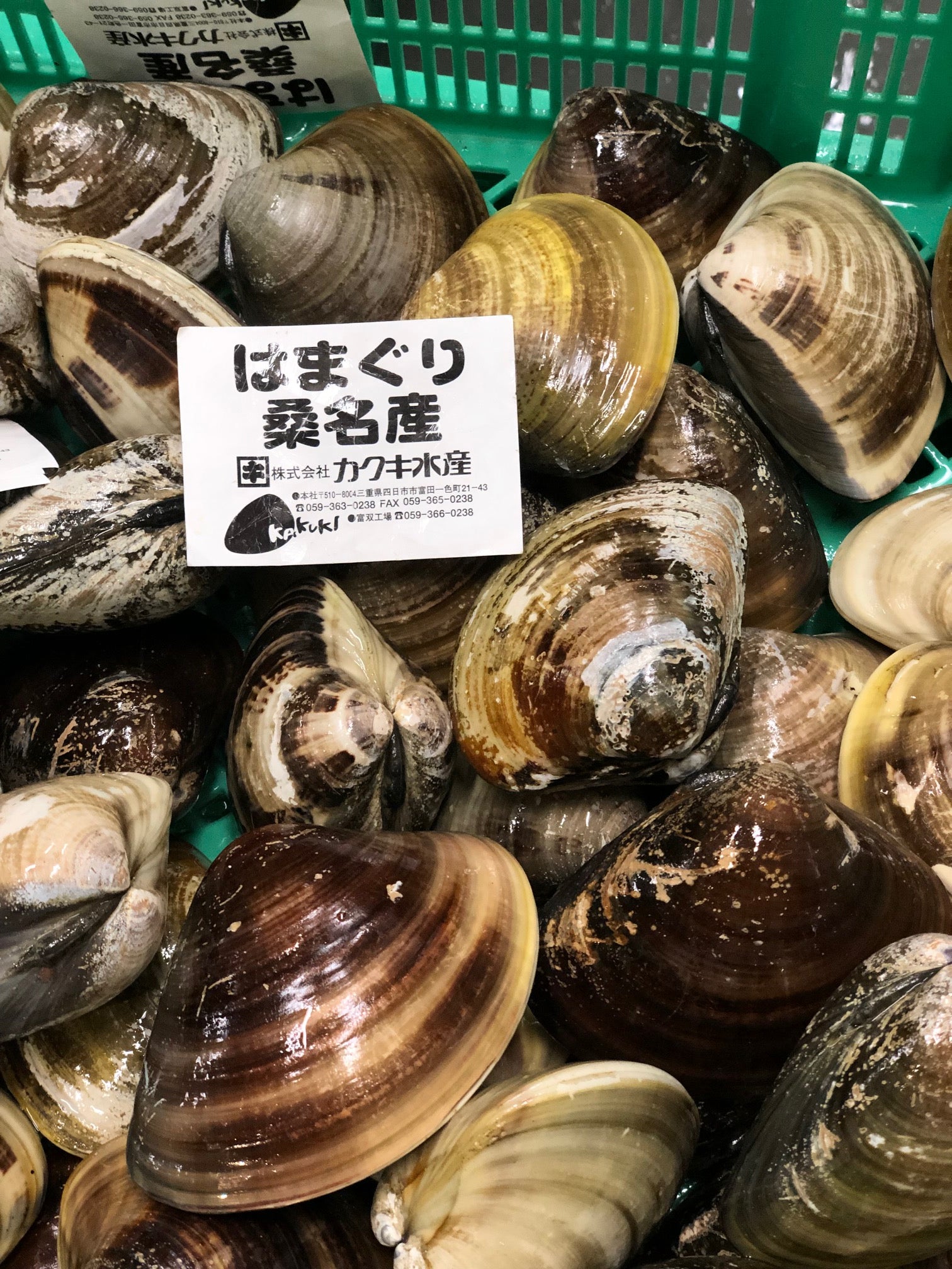 天然 桑名ハマグリ 最高級 蛤 豊洲直送 1キロ（1個約100g/150g）【桑名