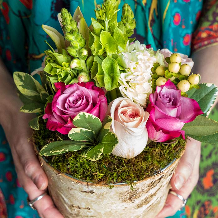 Candace, Floral: Olive & Cocoa, LLC