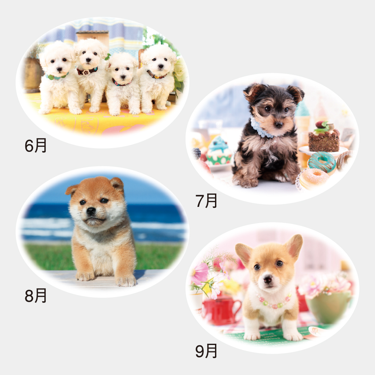 NK-521 エコ・デスク ドッグ〔メモ付〕2026年版の名入れカレンダーを