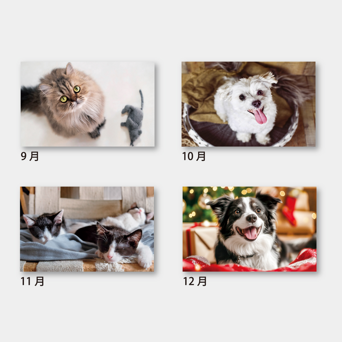 SA-333 パピー＆キティ2026年版の名入れカレンダーを格安で販売 - 名