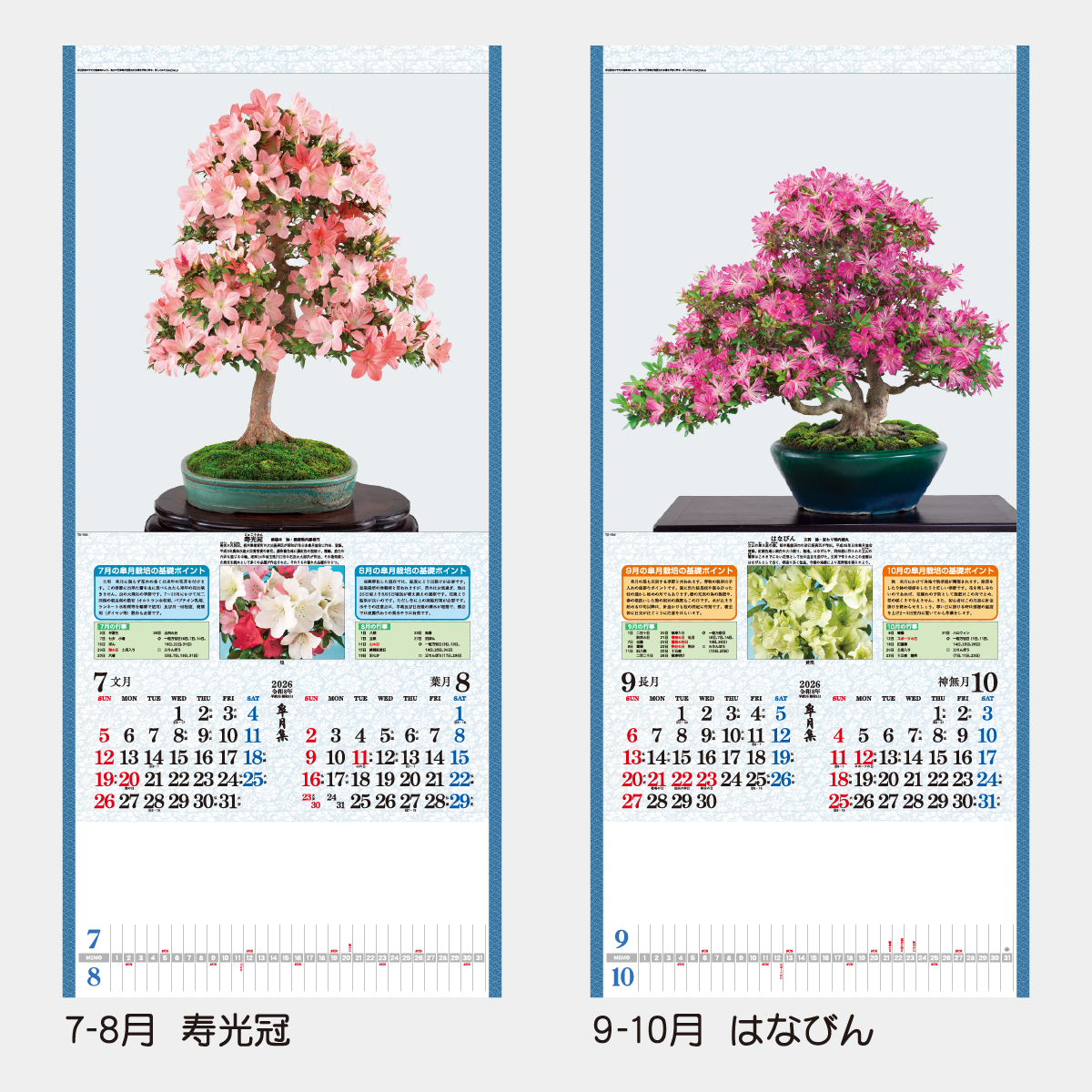 TD-784 皐月集2026年版の名入れカレンダーを格安で販売 - 名入れ