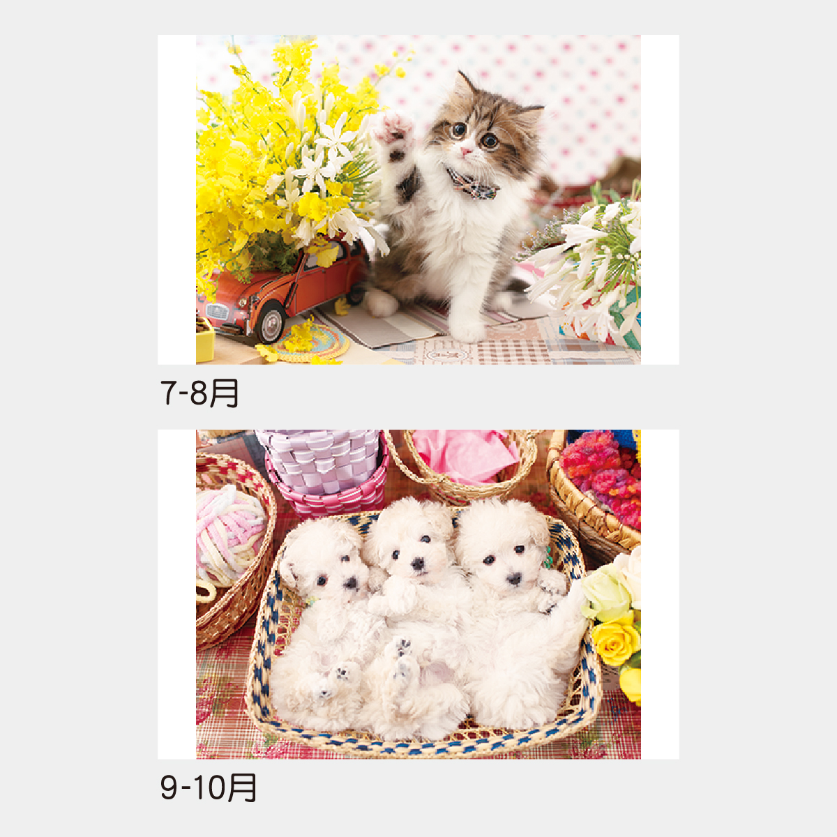 TD-931 ワンニャン・パーク2026年版の名入れカレンダーを格安で販売