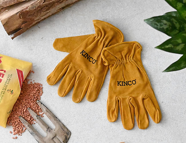 Kinco レザーグローブ | ゼネラルストア オルネ