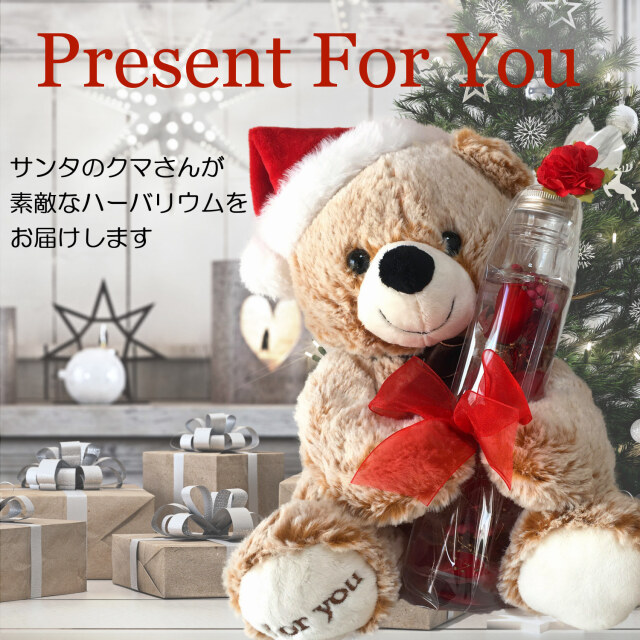 テディベアのマックスとハーバリウムのクリスマスセット