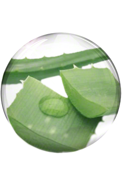 Priming with a Hydrating Fluid - Valmont