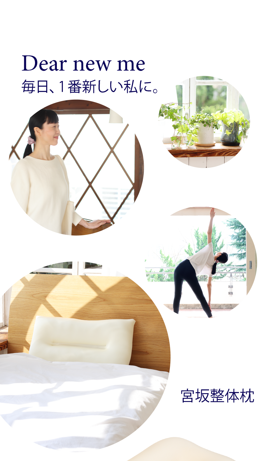 整体師が監修の快眠枕「宮坂整体枕」公式オンラインショップ| 通信販売