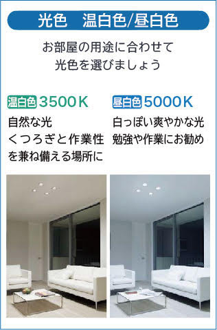 DAIKO 大光電機 LEDダウンライト DDL-6222WS | 商品紹介 | 照明器具の
