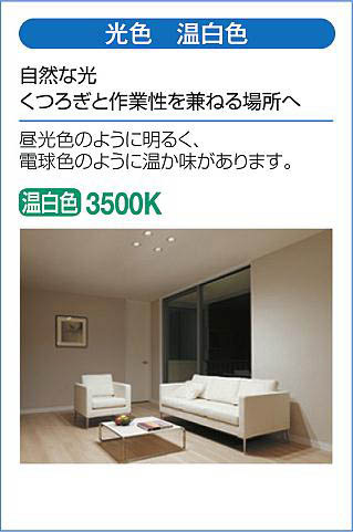 DAIKO 大光電機 ダウンライト(軒下兼用) DDL-4920AWG | 商品紹介