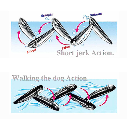 Lucky Craft JAPAN - CHINU Sammy