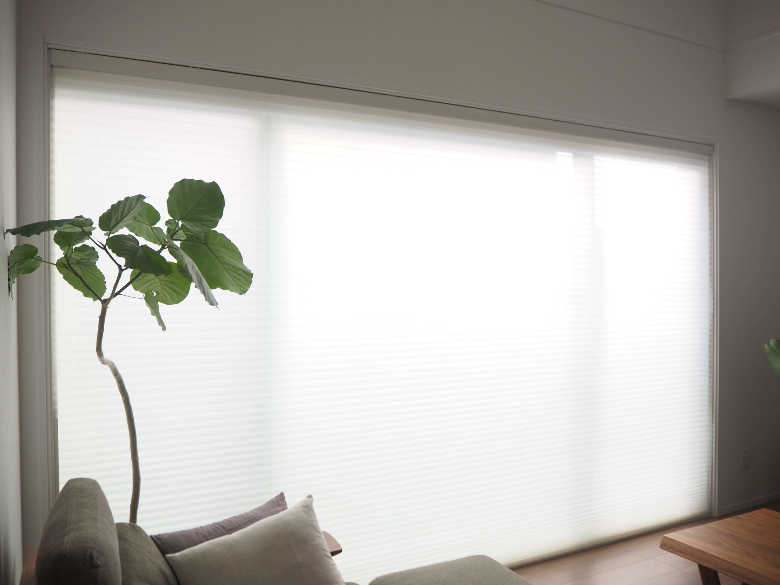 一条工務店ハニカムシェード種類と設置箇所まとめ【電動は最高です】