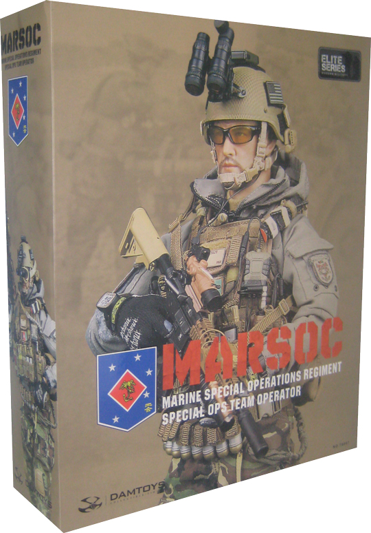 MARSOC Marine Special Operations Regiment Special Ops Team