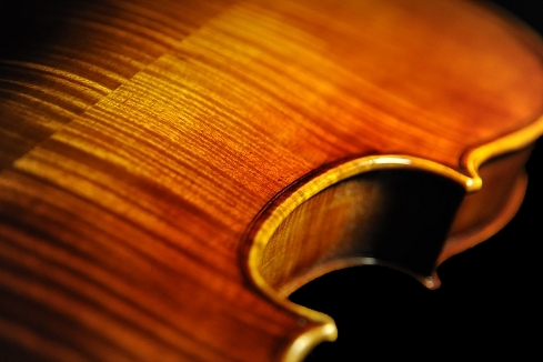 初心者 バイオリン サントヴェルデ | バイオリン専門店