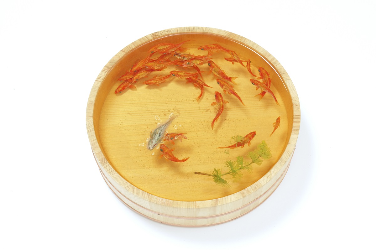 金魚絵師 深堀隆介展 平成しんちう屋－行商編－｜美術館のイベント