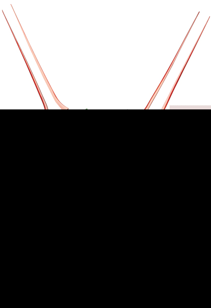 MEDICOM TOY - RAH NEO エヴァンゲリオン第13号機