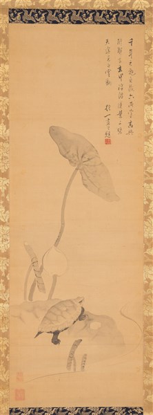 酒井抱一「蓮亀図」 - MIHO MUSEUM
