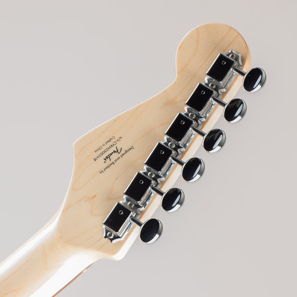 Paranormal Custom Nashville Stratocaster/LRL/Aztec Gold: エレキ