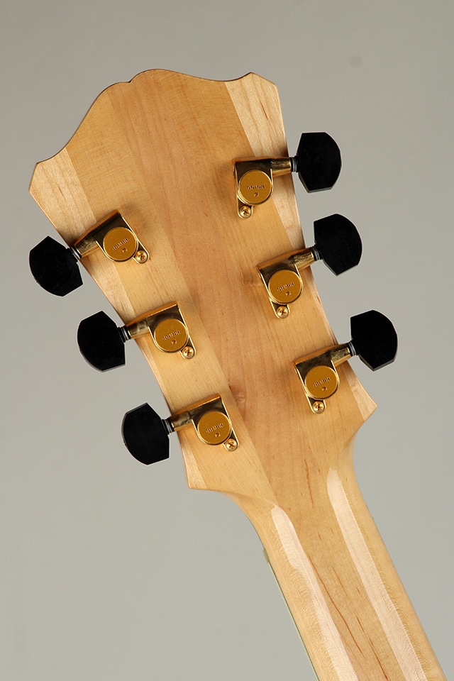 AR810CE-BD 2019: エレキギター｜三木楽器公式通販サイト