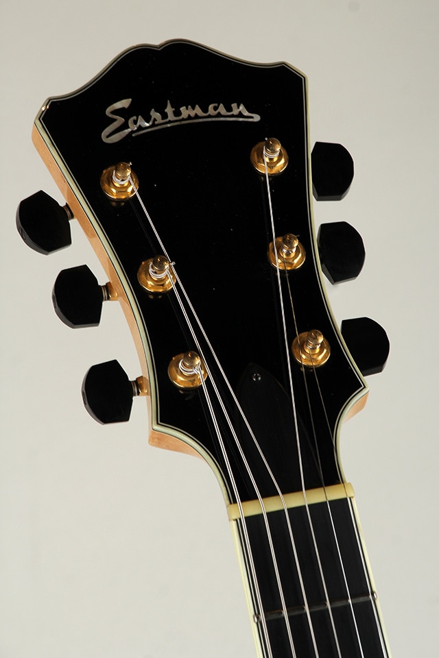 AR810CE-BD 2019: エレキギター｜三木楽器公式通販サイト