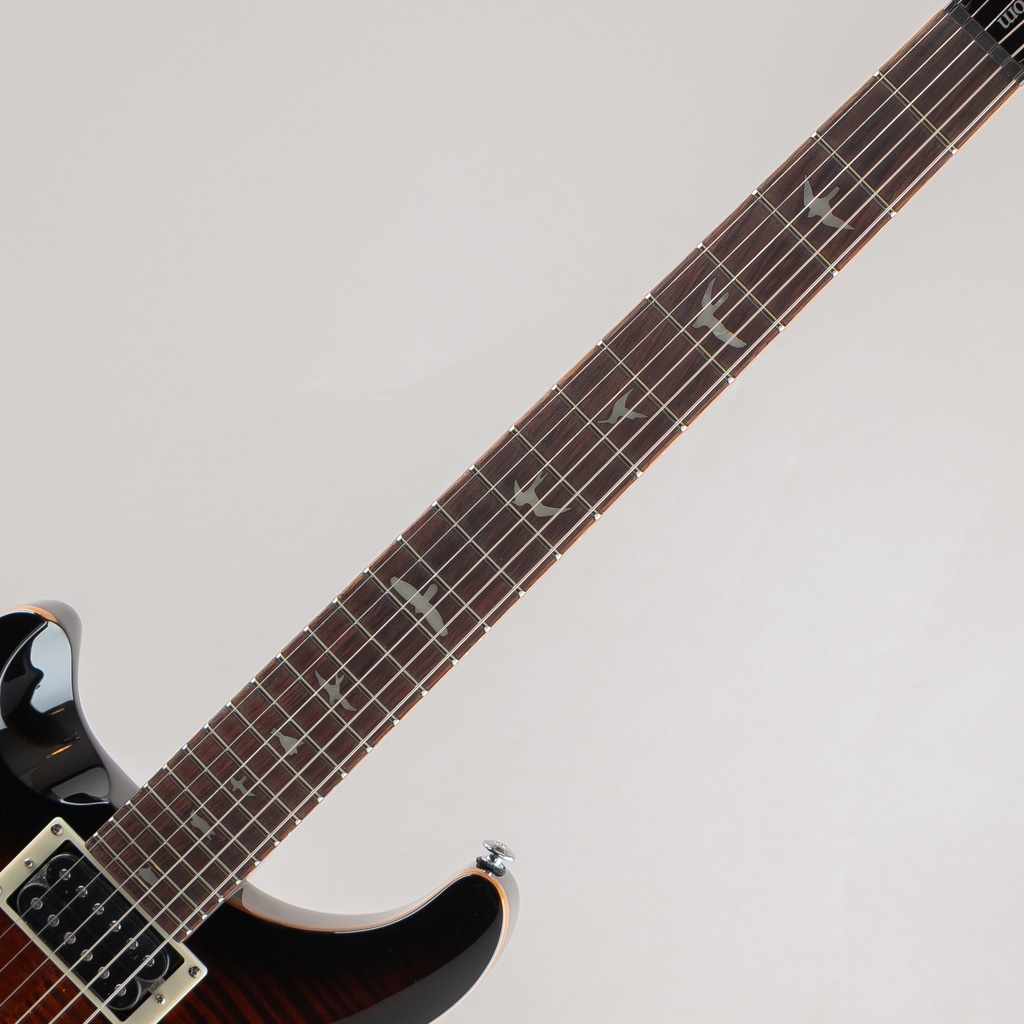 SE Custom 24 Lefty /Black Gold Sunburst【2024】: エレキギター