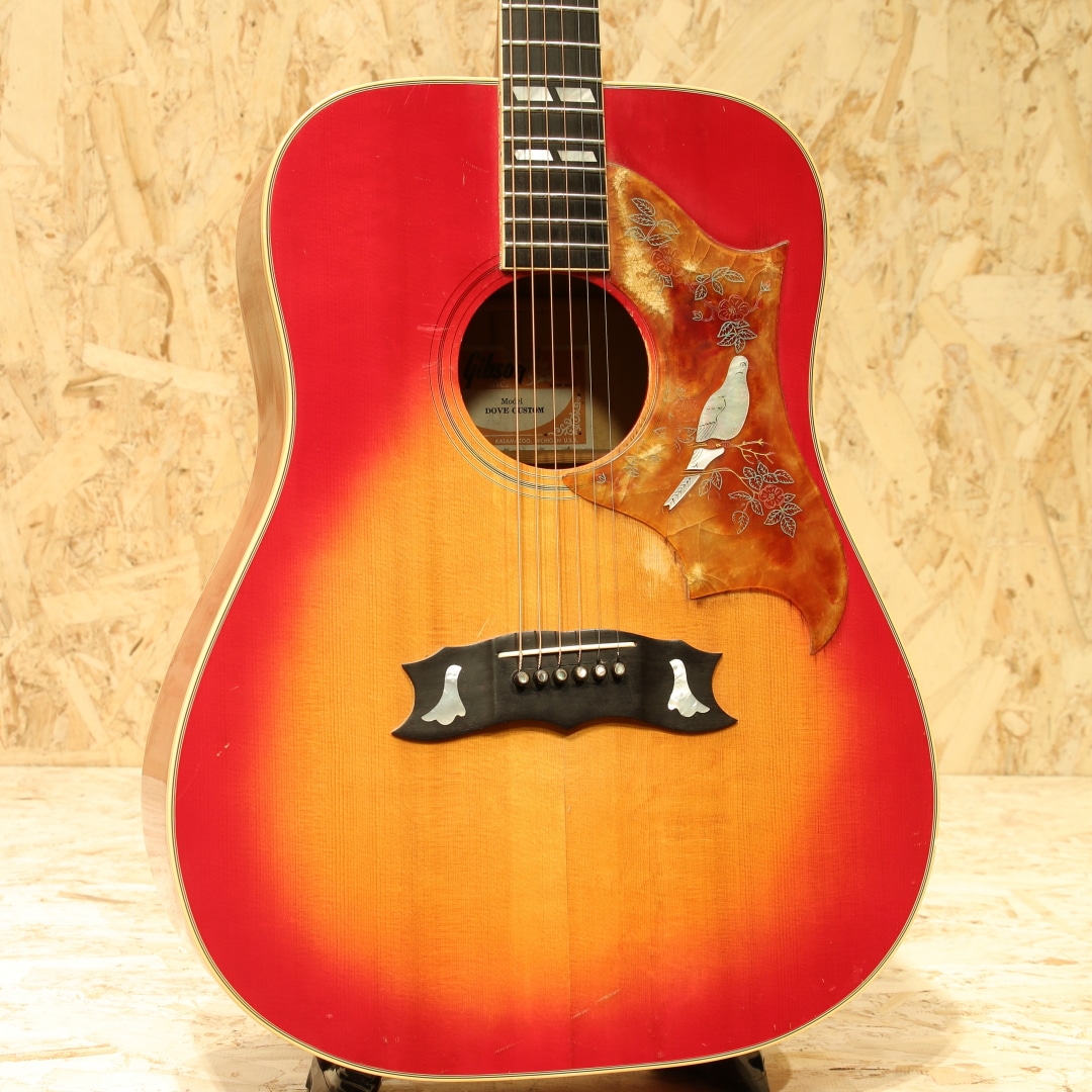 Dove Custom CS 1981: アコースティックギター｜三木楽器公式通販サイト