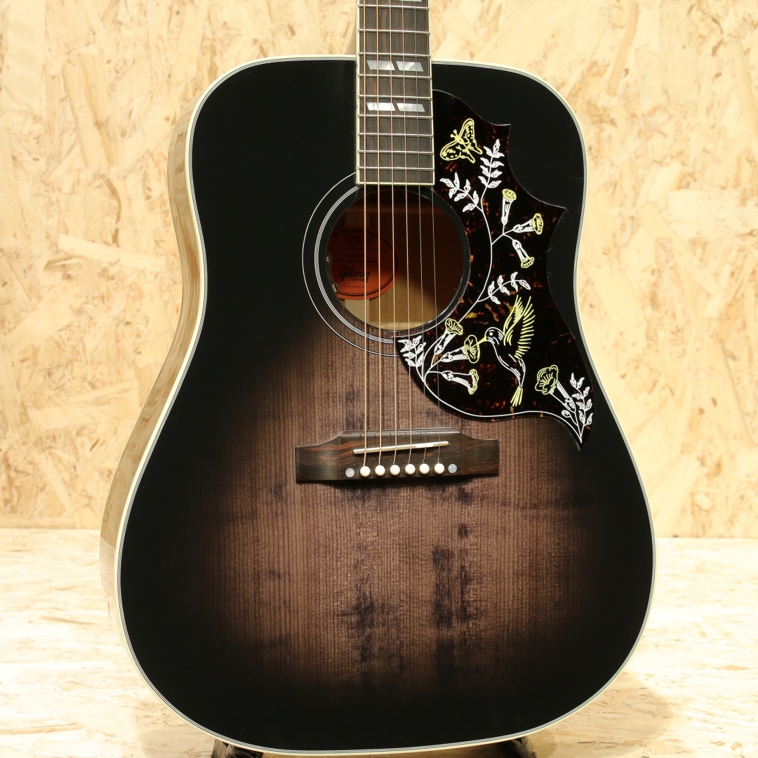 Hummingbird Red Spruce Trans Ebony: アコースティックギター｜三木