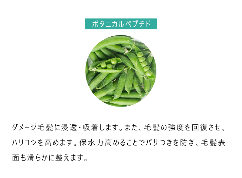 定期購入》MUKII THE serum shampoo＆treatment《serum シャンプー