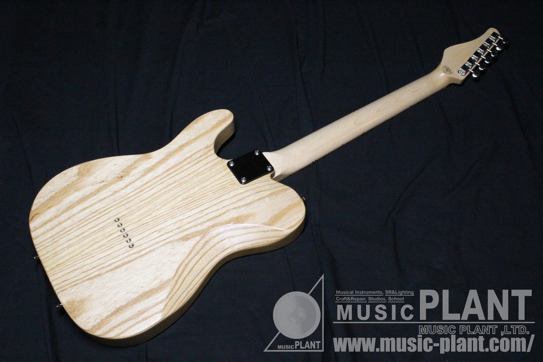 SCHECTER Progaugeシリーズ テレキャスタータイプPS-S-PT/M/VT新品