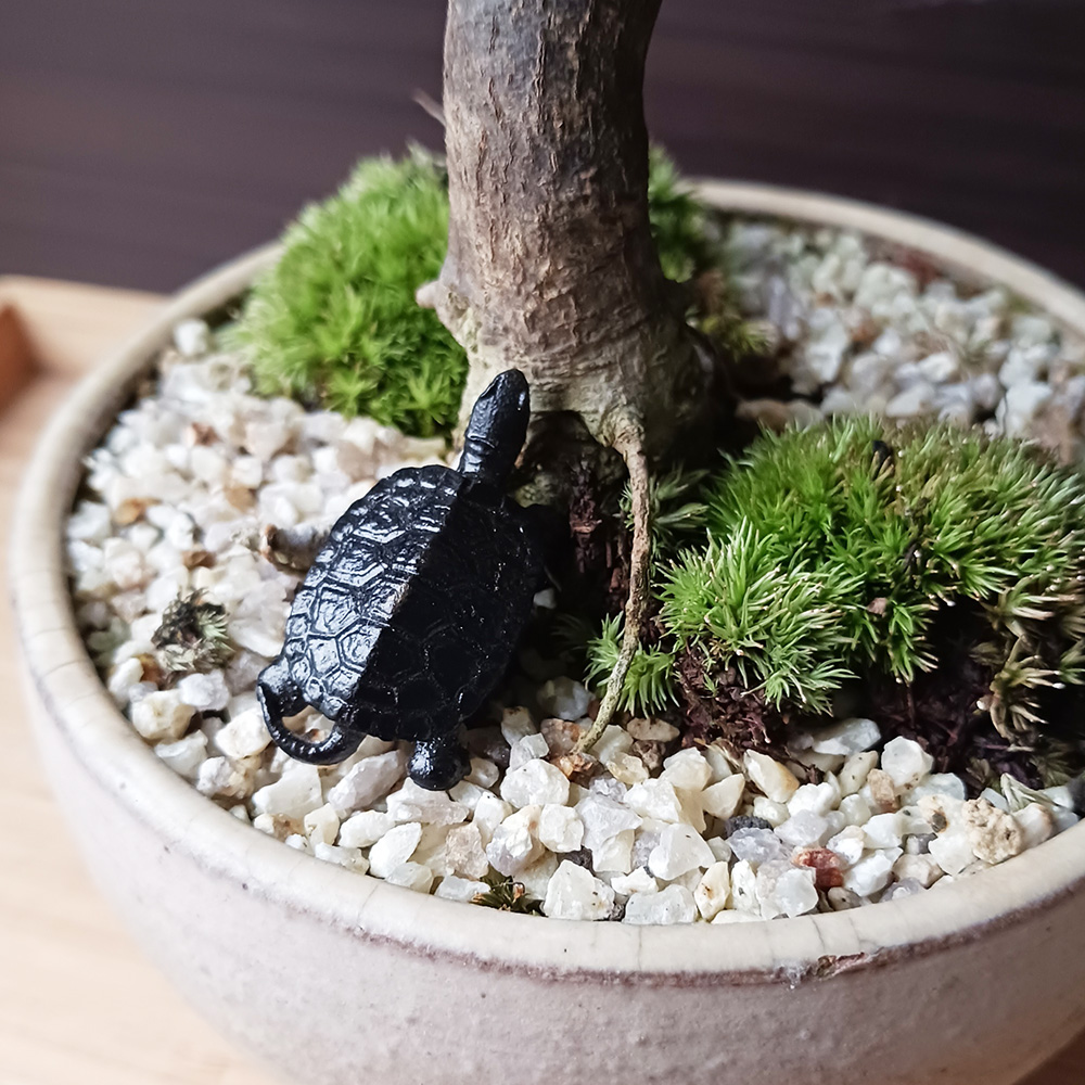 ミニチュア 添配 盆景 蝋型鋳物 銅製 亀（かめ）小サイズ オブジェ 枯山水