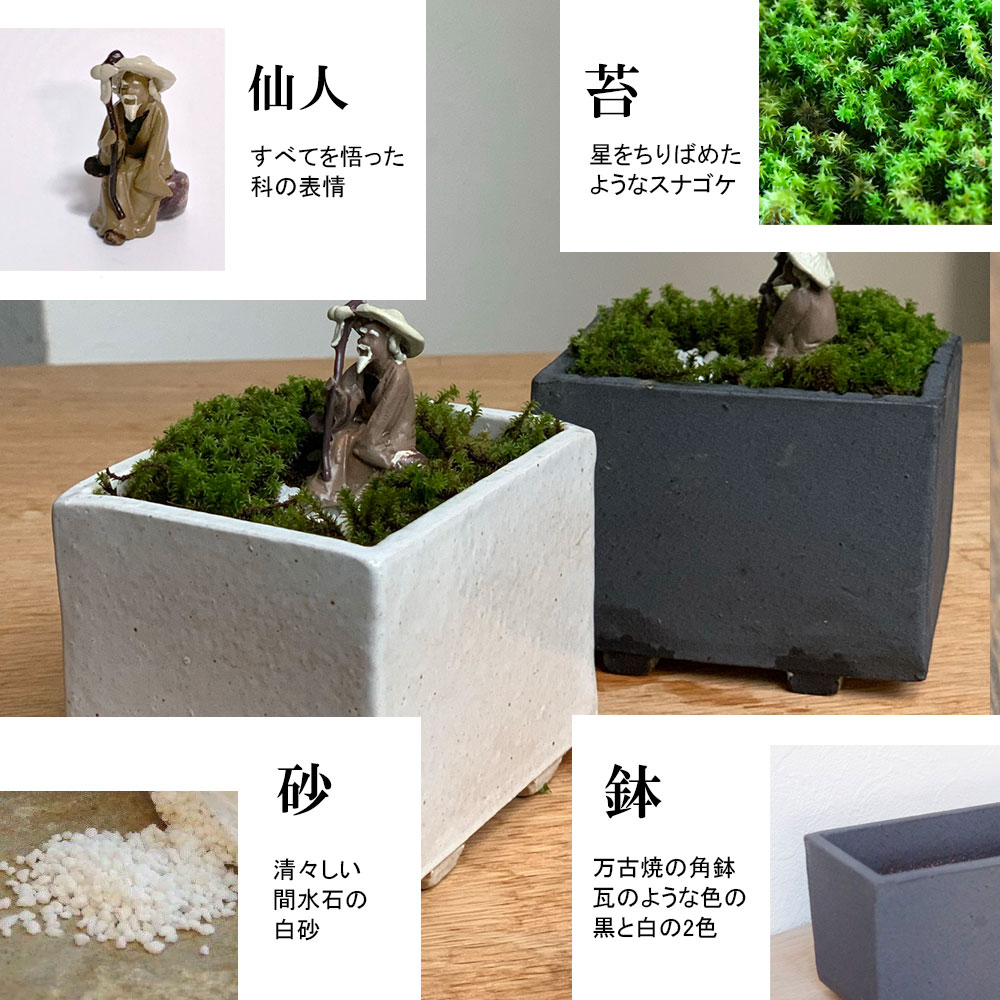 苔盆栽 【瞑想する仙人】万古焼創作角鉢 仙人 神様 苔盆栽 苔