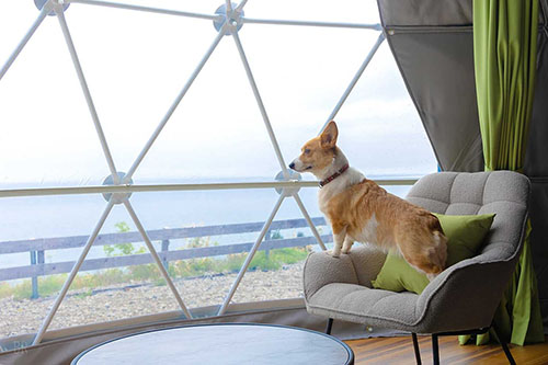 お部屋 - 【新潟】グランピング蒼天海峯 -SOUTENKAIHOU-｜【リゾグラ