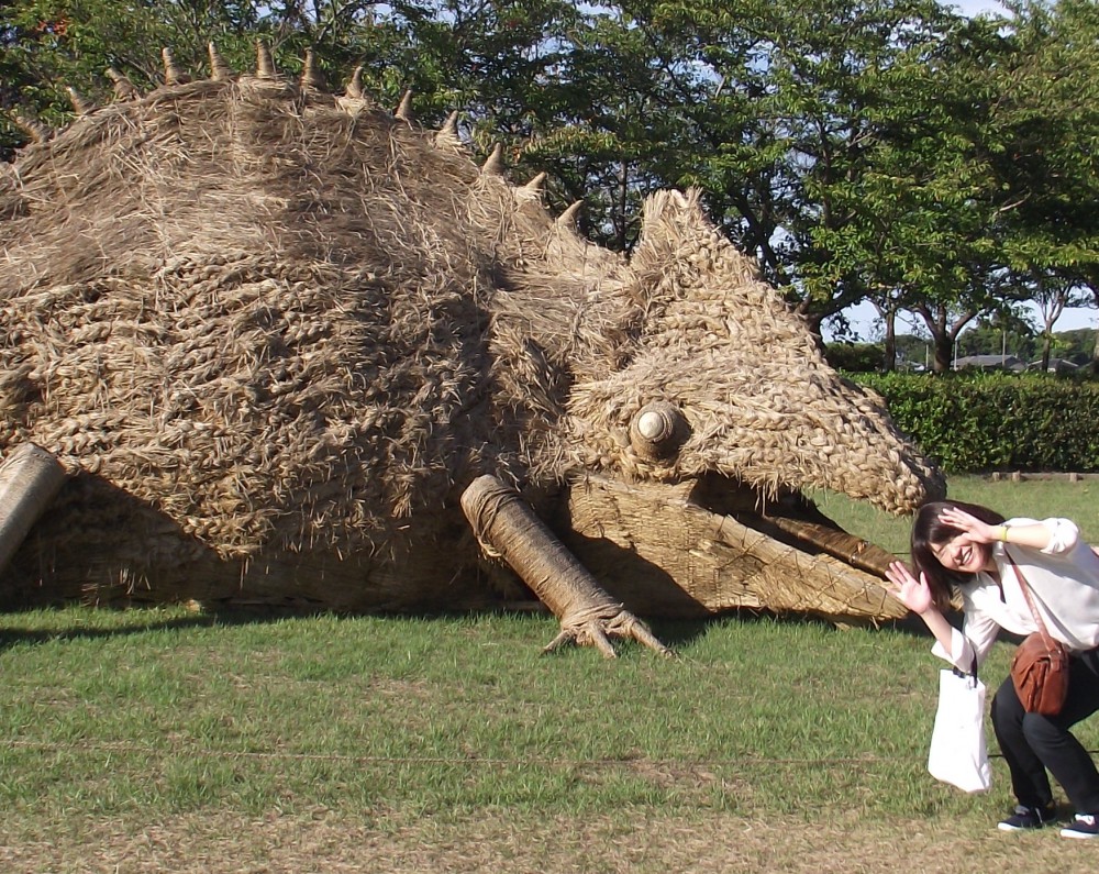 上堰潟 ｜ 潟のデジタル博物館（新潟市公式）