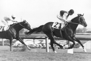 日刊競馬で振り返る名馬 - キタノカチドキ（1974年・第34回皐月賞）