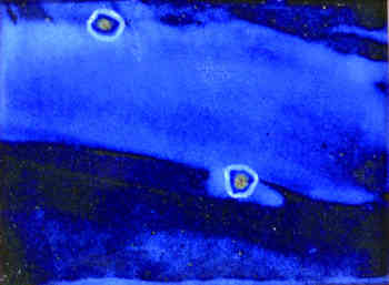 斎藤乾一の陶板・花入・ピッチャー｜焼き物/陶器/陶芸作品販売