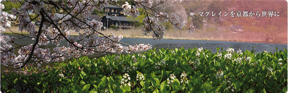 SAKAMURA – 阪村研究所公式ホームページ