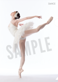 バレエダンサークリアファイル 上野水香「白鳥の湖」 - 株式会社新書館