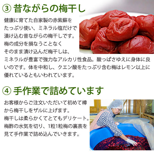 大分県産 南高梅の梅肉