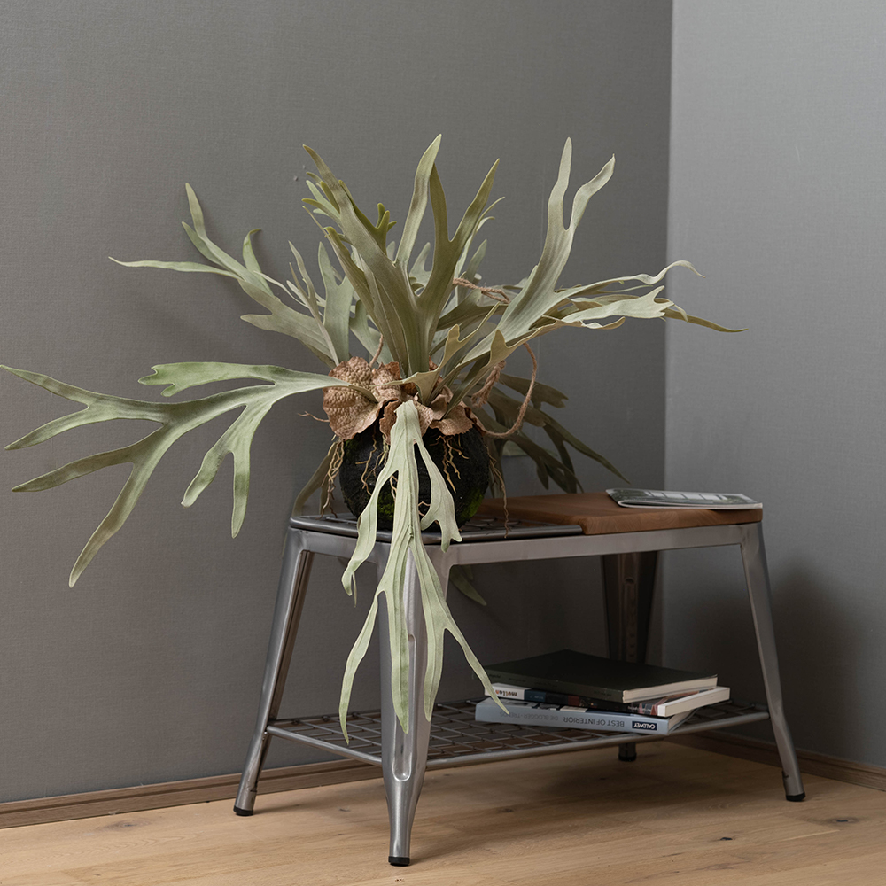 フェイクグリーン「ハンギングプランツ コウモリラン L」｜インテリア