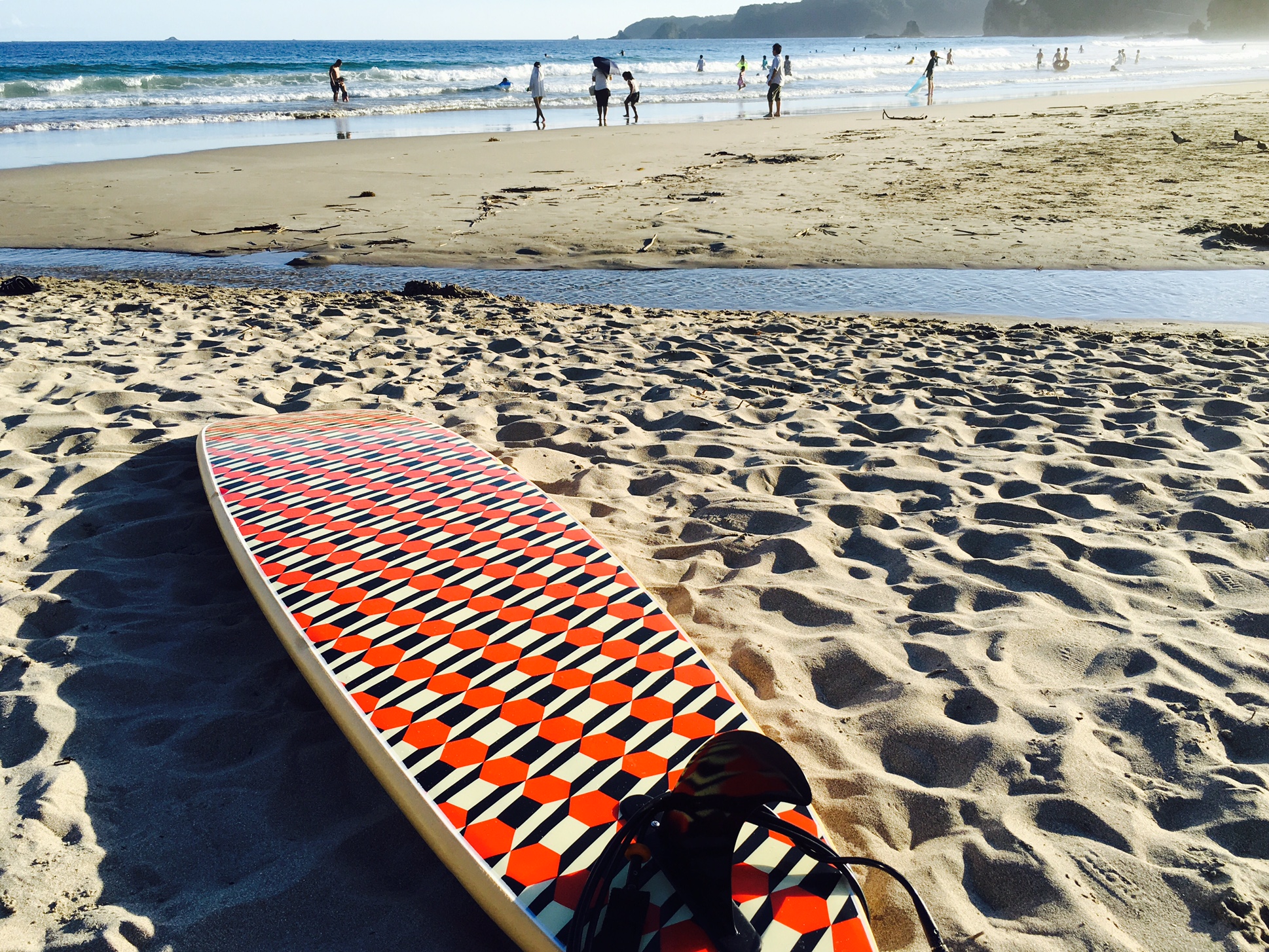 CATCH SURF×STANDARD CALIFORNIA ｜ STANDARD CALIFORNIA[スタンダード