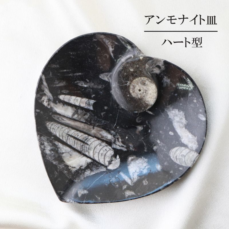 アンモナイト 皿 ハート型 インテリア 化石 ディスプレイ 浄化 約