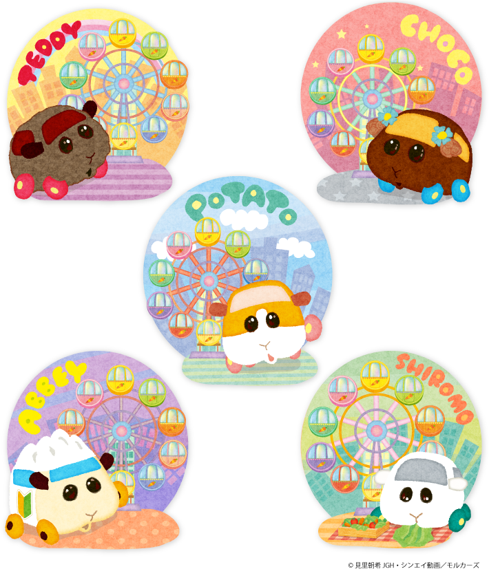 PUI PUI モルカー × SUNSHINE SAKAE